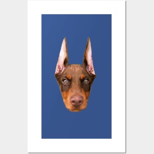 Doberman Puppy Head Red Brown Posters and Art